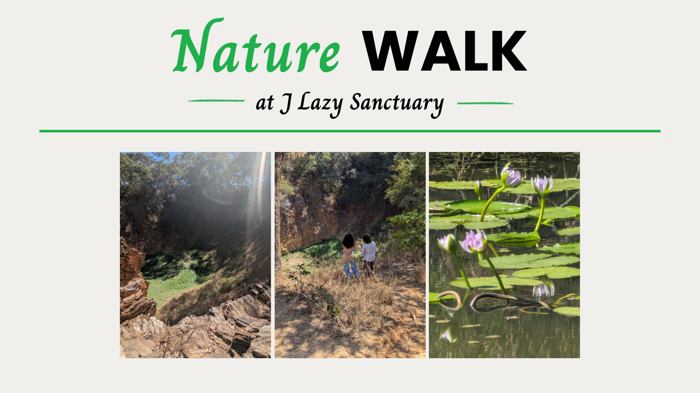 Nature Walk